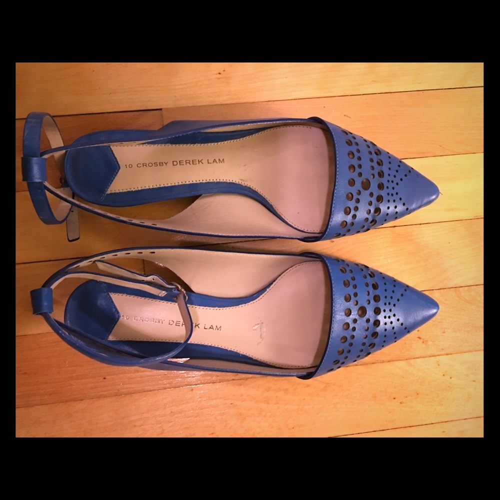 Derek Lam blue leather flats